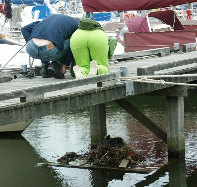 hans dornseiffen natuurfoto's