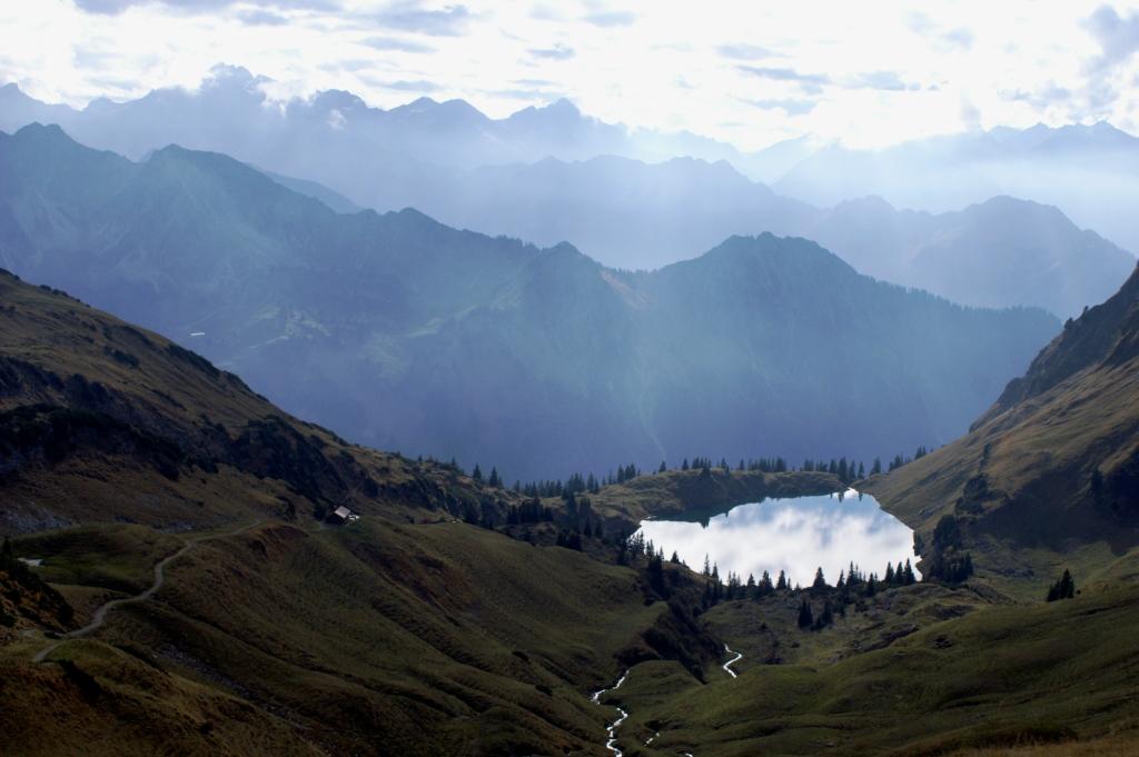 hans dornseiffen natuurfoto's