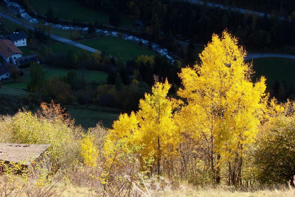 hans dornseiffen natuurfoto's