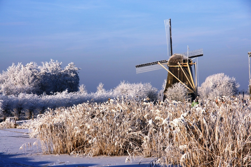 hans dornseiffen natuurfoto's