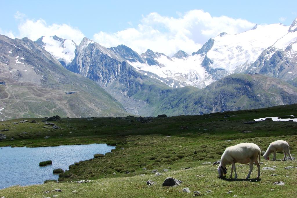 hans dornseiffen natuurfoto's