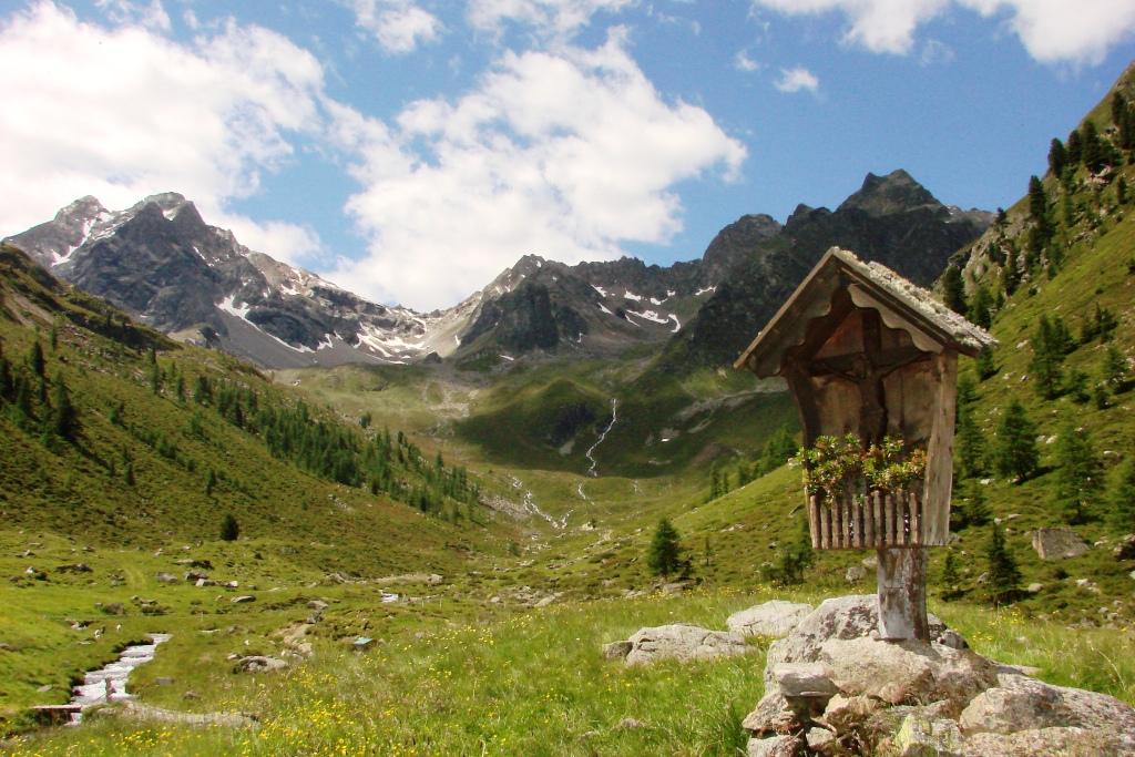 hans dornseiffen natuurfoto's