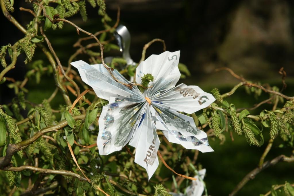 hans dornseiffen natuurfoto's geldboompje