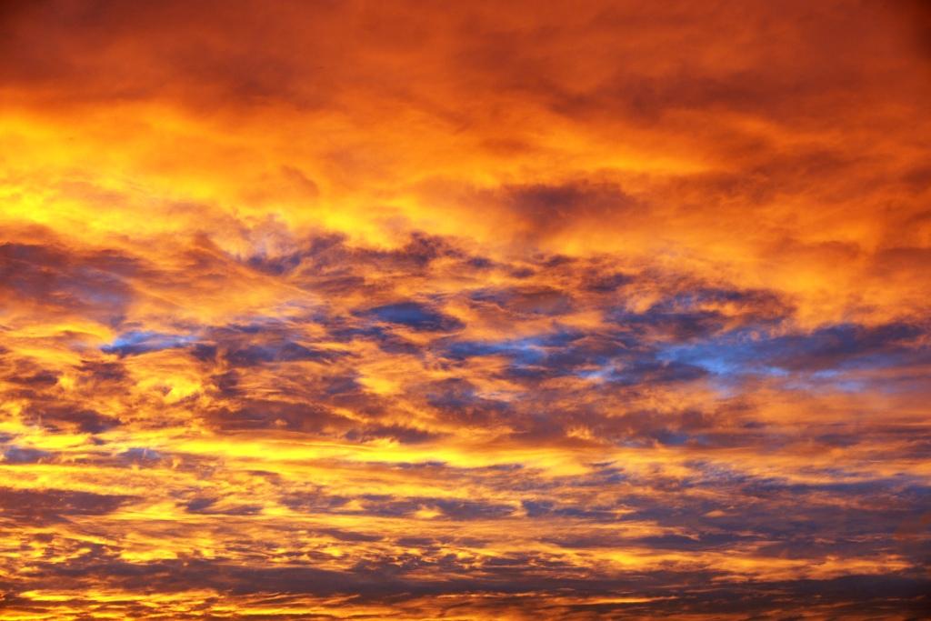 hans dornseiffen natuurfoto's